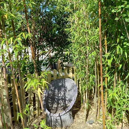 La Grenouillette 別荘