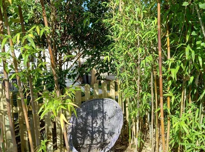 La Grenouillette 펜션