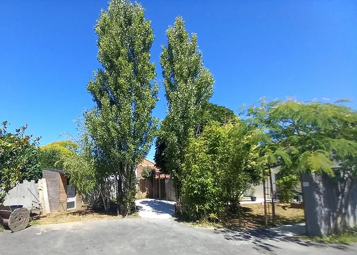 La Grenouillette 펜션 *